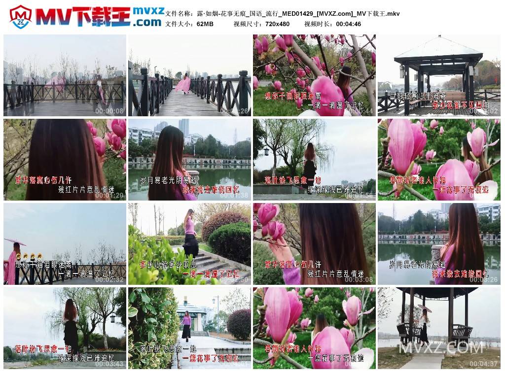 露·如烟-花事无痕_国语_流行_MED01429